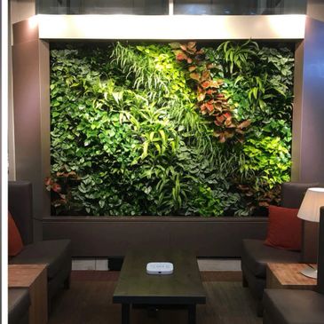 India's best Hydroponic based Living Walls/Green Walls/vertical gardens for any interior or exterior