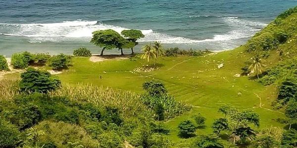 Scenic coastal landscape with green fields and ocean waves.