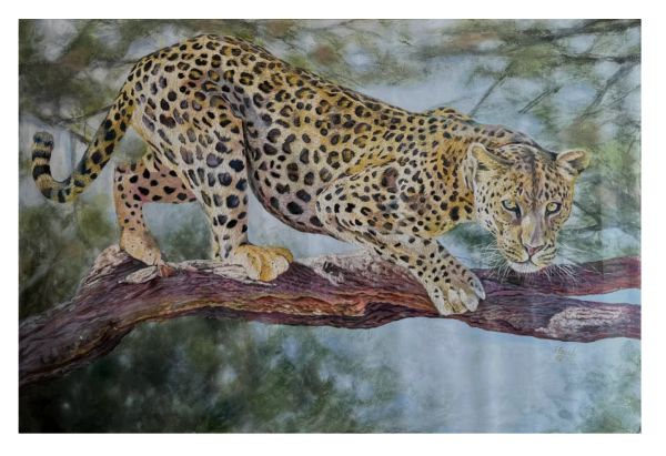 A leopard poised on a tree branch, blending with the natural background.