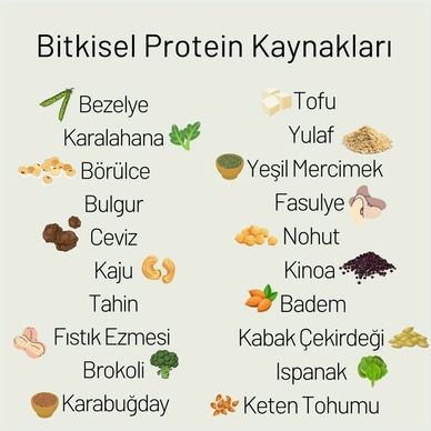 bitkisel protein kaynakları