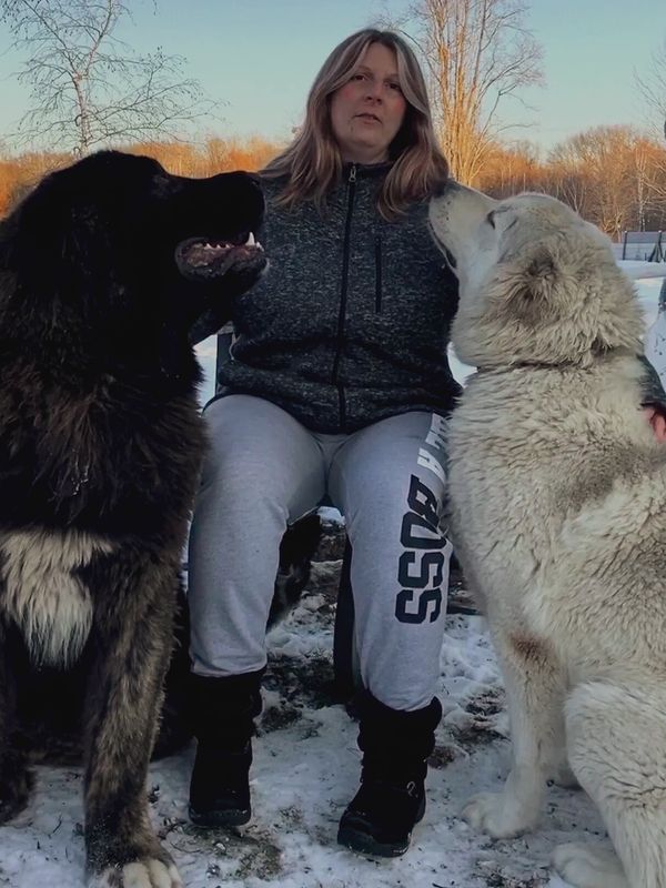 Me with 2 of our Caucasian Shepherds. Dark male named Maximus and white sable female named Khaleesi