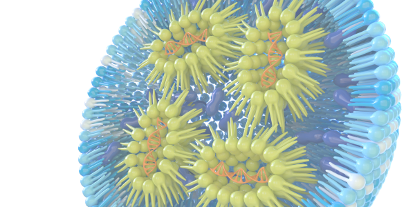 3D illustration of a lipid nanoparticle (LNP) structure with mRNA encapsulated. DIANT for liposomes, LNPs and nanoparticles.