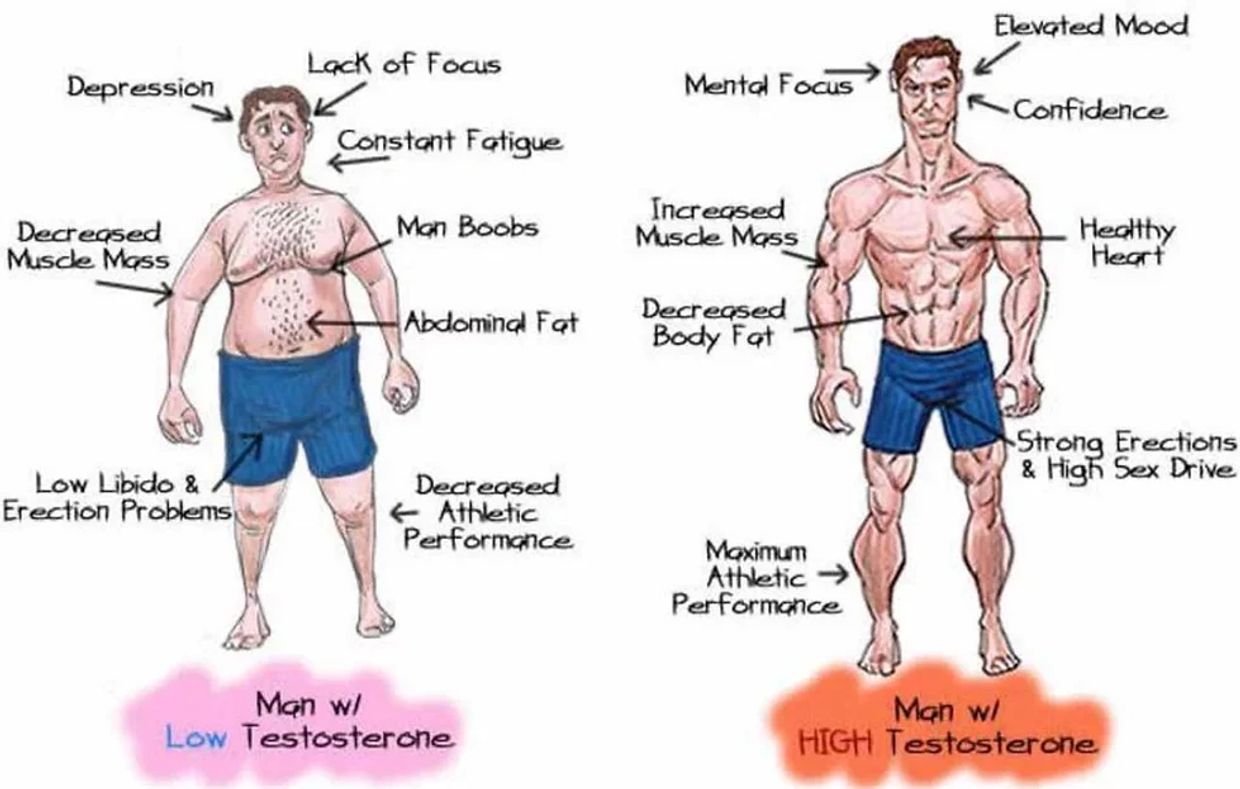 Diagram of symptoms of andropause and benefits of hormone therapy for men.
