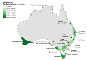 Australian forests