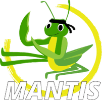 Mantis Martial Arts for Kids
