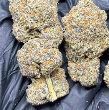 White truffle 🥛
100G/10K
50G/5K