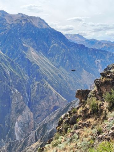 Cañón del Colca