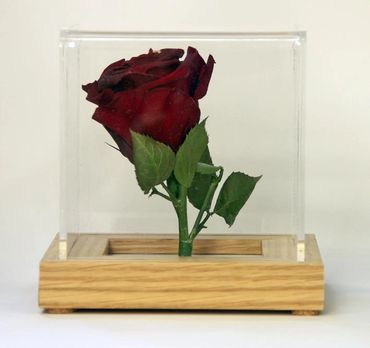 Freeze dried rose in acrylic cube. Created by The Flower Preservation Studio.