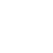 Mentor Blinds