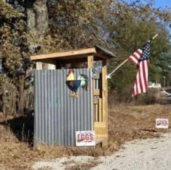 Small roadside stand selling eggs with American flag and chicken decoration.