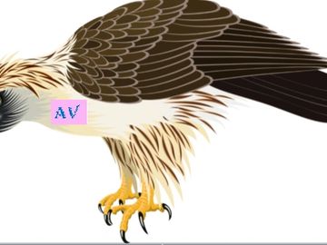 Agila the Watcher