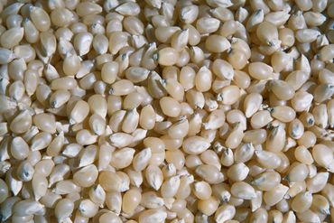 food photography waco, texas - photo of food stuff popcorn kernels