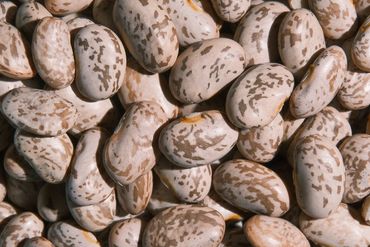 food photography waco, texas - photo of food stuff beans