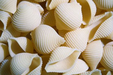 food photography waco, texas - photo of food stuff shells