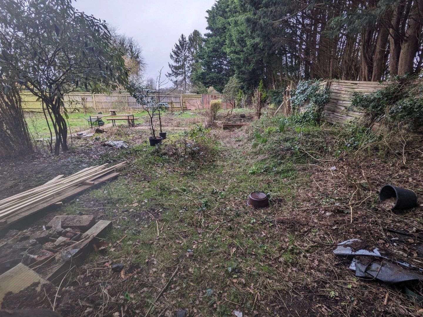 Overgrown garden with scattered debris and wooden planks under a cloudy sky.