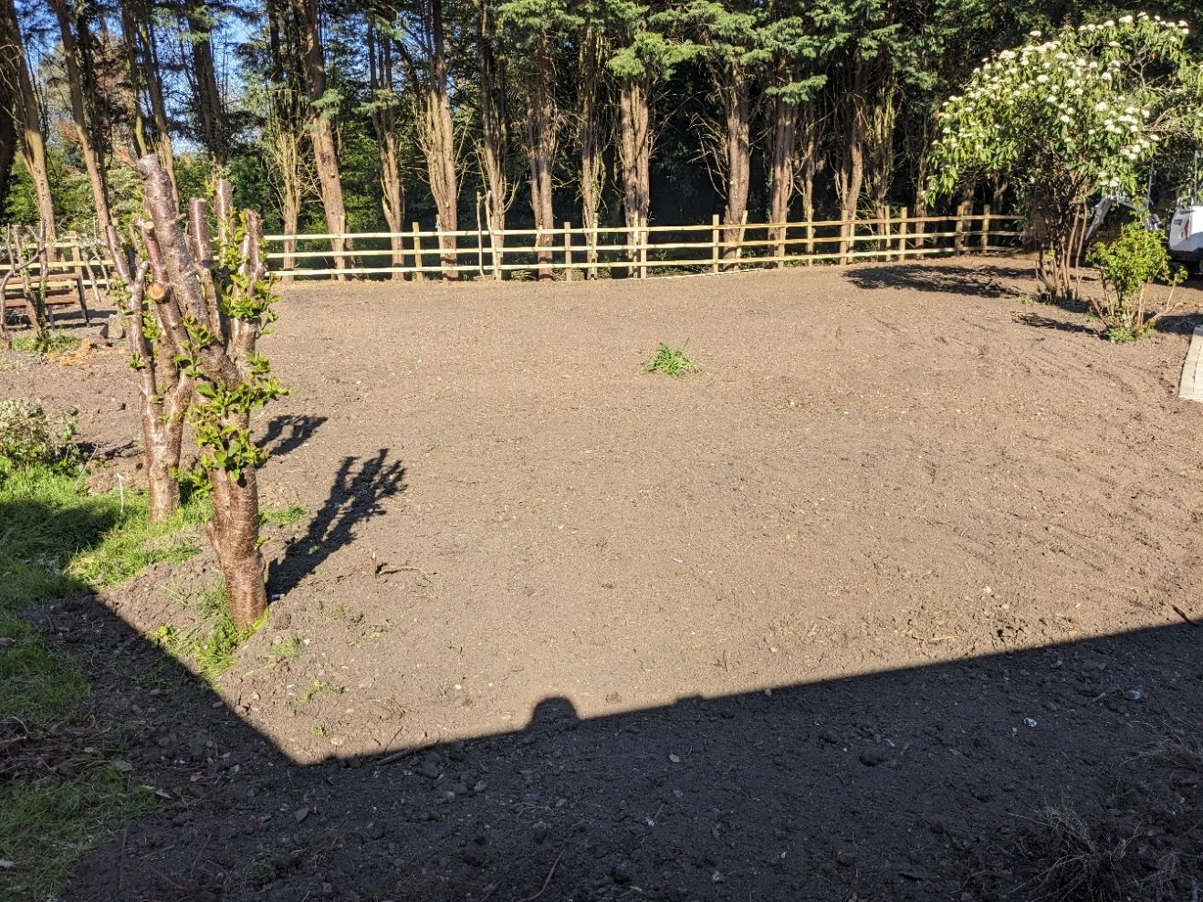 Freshly tilled garden soil surrounded by trees and a wooden fence.