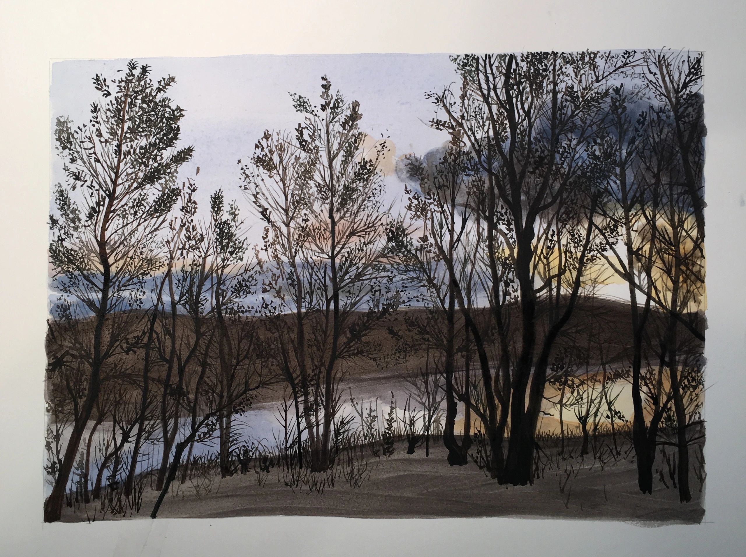 Dusk at Cottonwood Beach
2020
watercolor
$1250