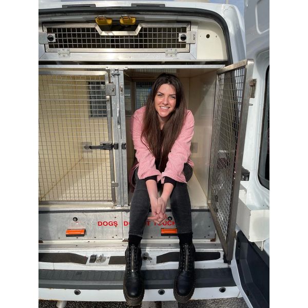 The Delighted Dog van with secure crates to keep dogs safe while on the move.