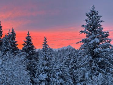 Snow-covered pine trees against a vibrant red and purple sunset sky.