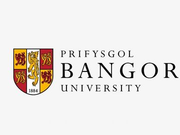 University of Bangor MECSTUDYGROUP