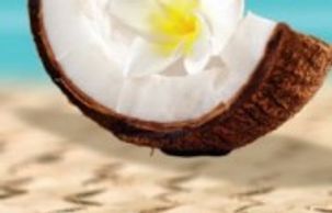 Image of a coconut with a flower inside.