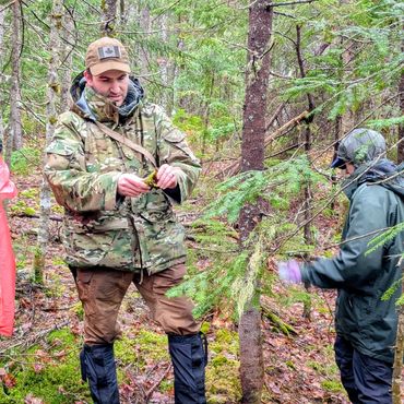 Two people examining moss in a forest.