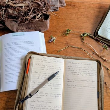 Notes and plants on a wooden table with pen and book.