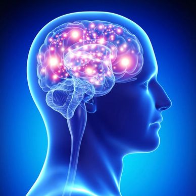 AI Training for Beginners, Learn AI, AI for Marketing & Web Design, AI Course, AI Lessons, AI School,