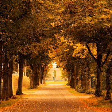 Therapy/Counselling for depression