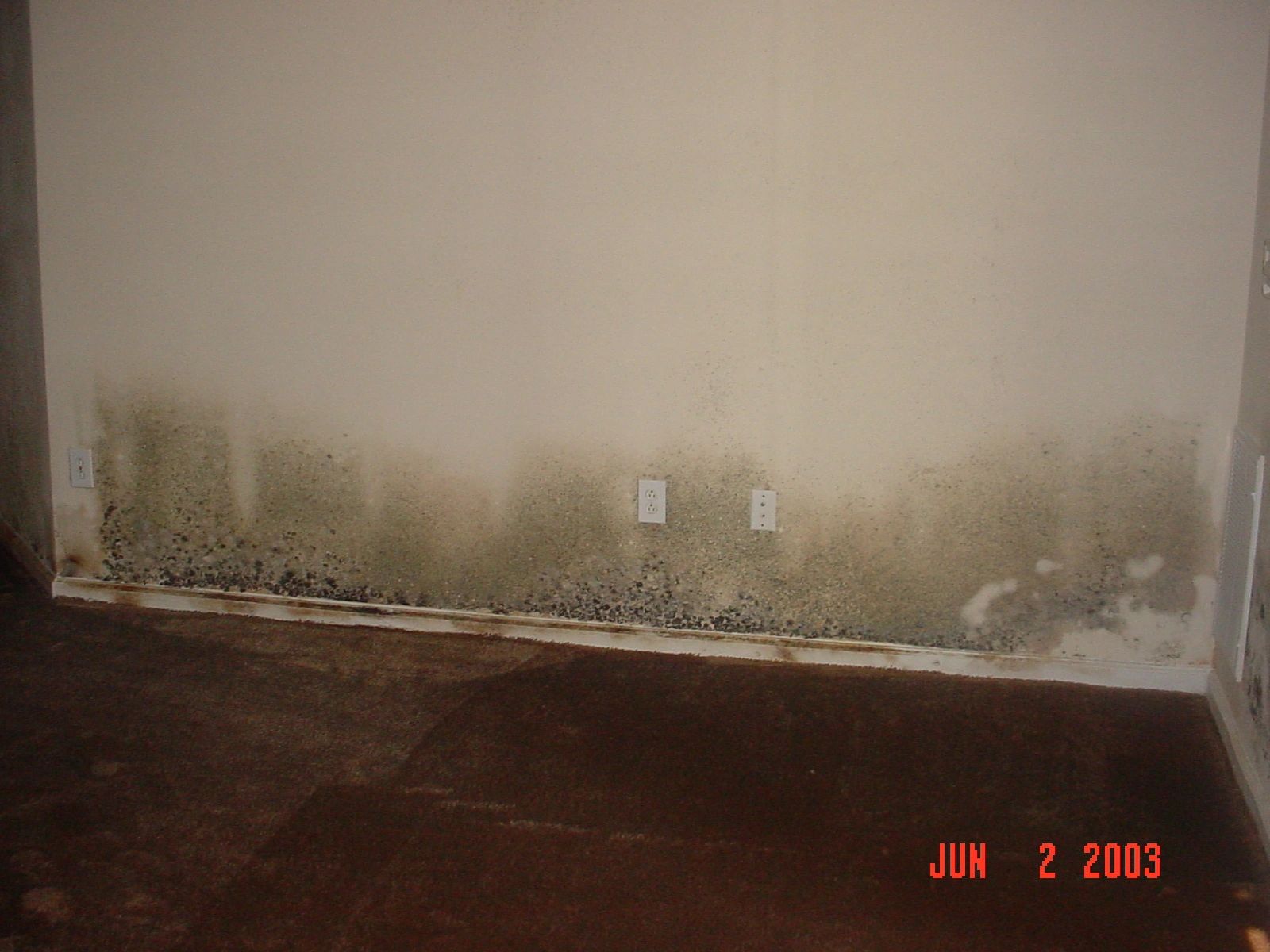 Mold in Living from a Bathroom Leak