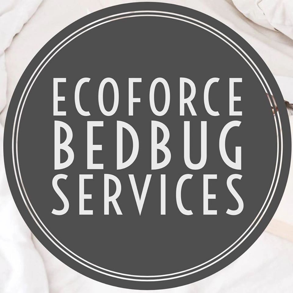 ecoforce bedbug services