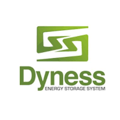 Dyness Battery UAE