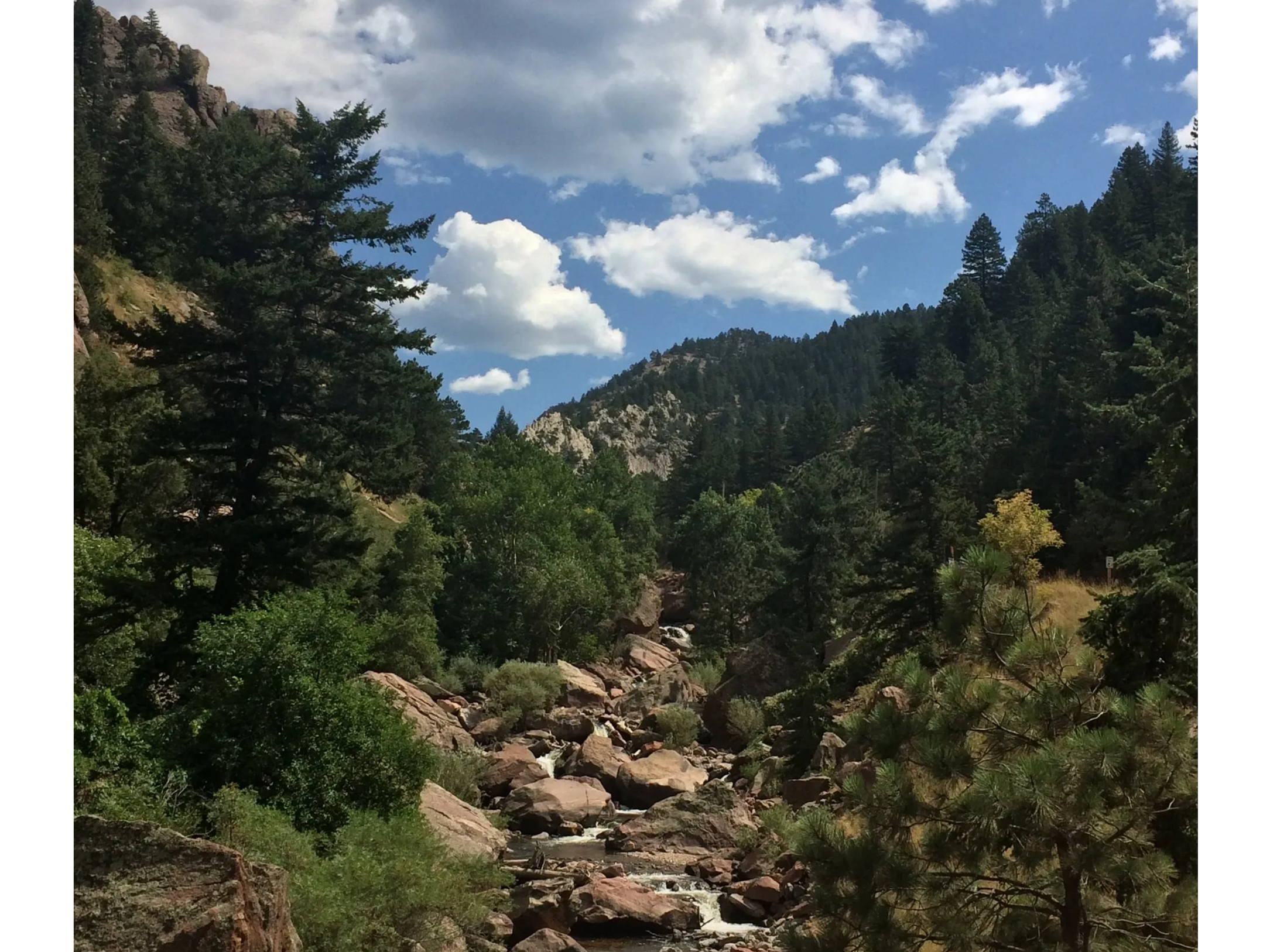 Mountain stream flowing through a forest under a partly cloudy sky.