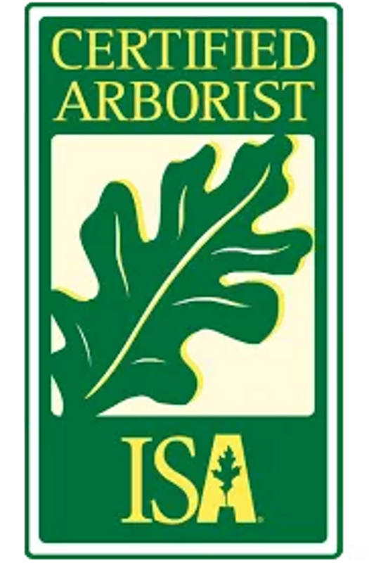 ISA Certified Arborsit