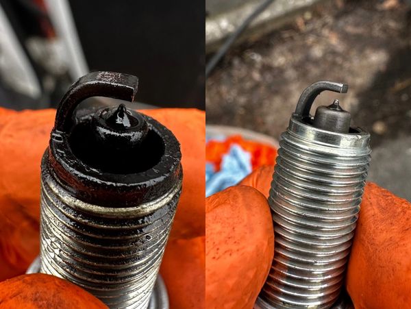 Diesel in petrol wellington