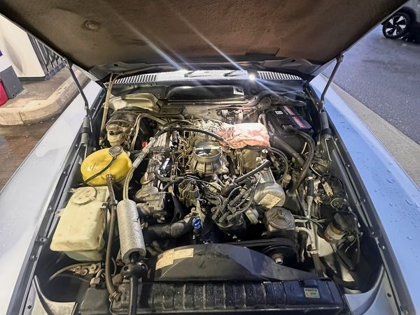 Diesel in petrol wellington