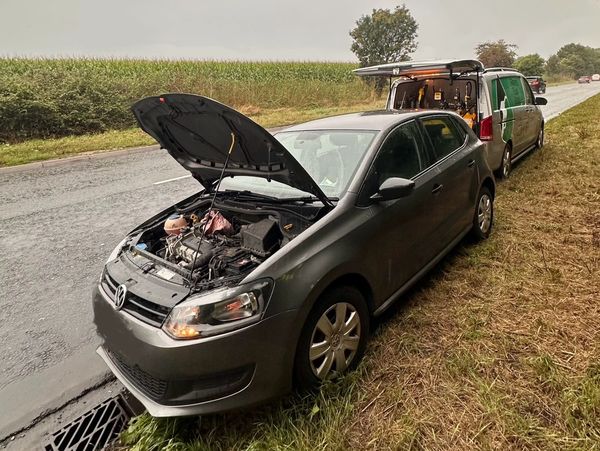 Diesel in petrol wellington