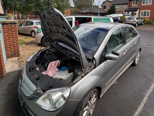 Petrol in diesel vehicle in Wellington