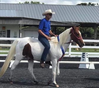Old man with a good horse