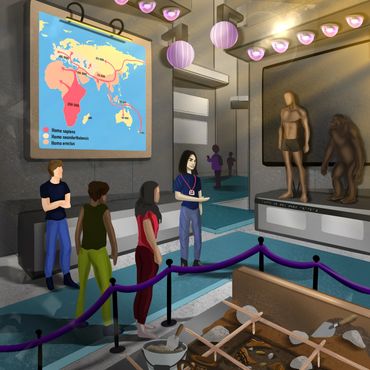 A person of East Asian descent is giving a museum tour with exhibits on human origins.