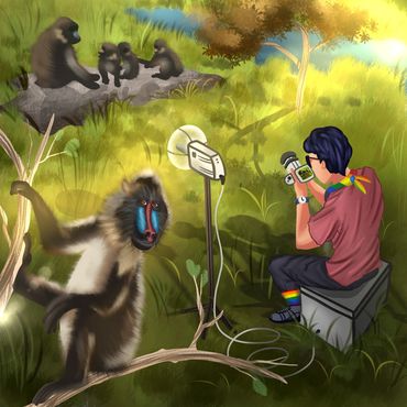 A light-skin genderqueer person is observing Mandrills. They are wearing a rainbow bandana.