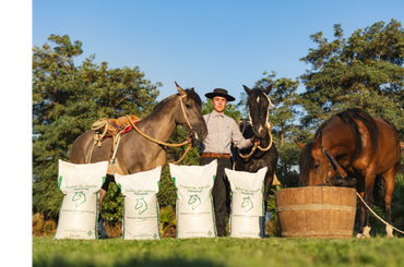 Pellets de alfalfa austral para caballos