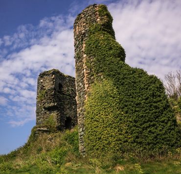 Overgrown Castle remains - Ireland