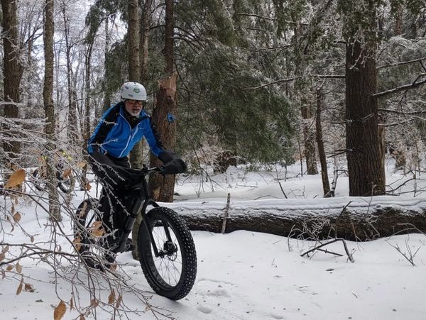 Person riding a fat-tire bike on a snowy forest trail.