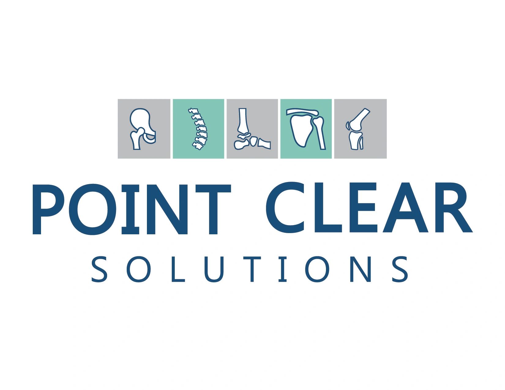 Point Clear Solutions  Point Clear Solutions