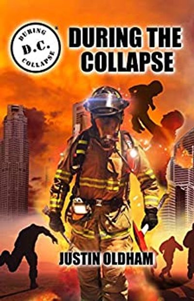 Front cover of During the Collapse