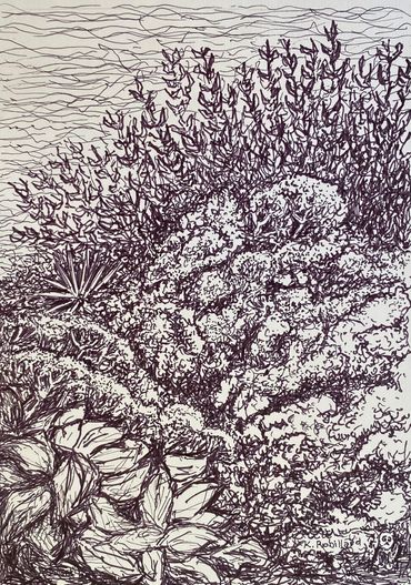 Looking down over flowering plants in Heisler Park. 5"x7" pen on paper.