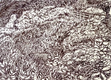 Flora on the cliffs below Heisler Parks oceanside walk. 5"x7" pen on paper.