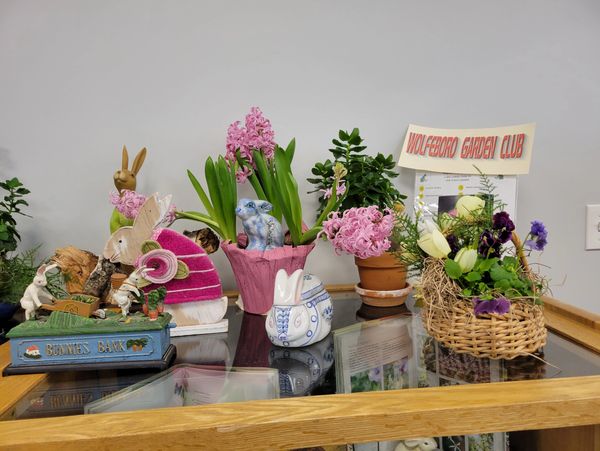 Our gardeners have once again provided floral decoration and garden information at the library.