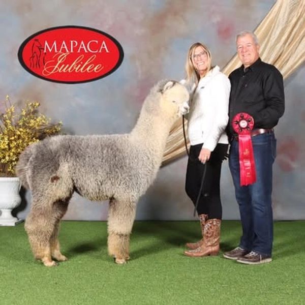 Crimson Skye Alpaca Farm, Schwenksville, PA